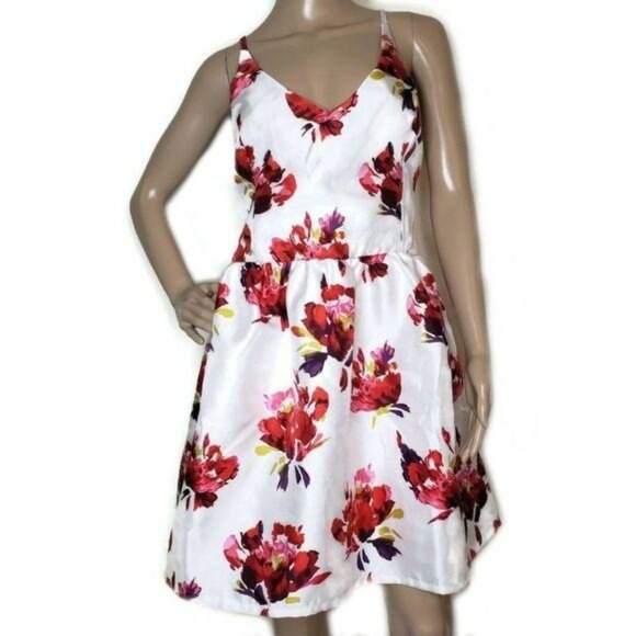 Bailey Blue white and red large print Print Sleeveless A-Line sun dress sz 14 - Picture 6 of 6